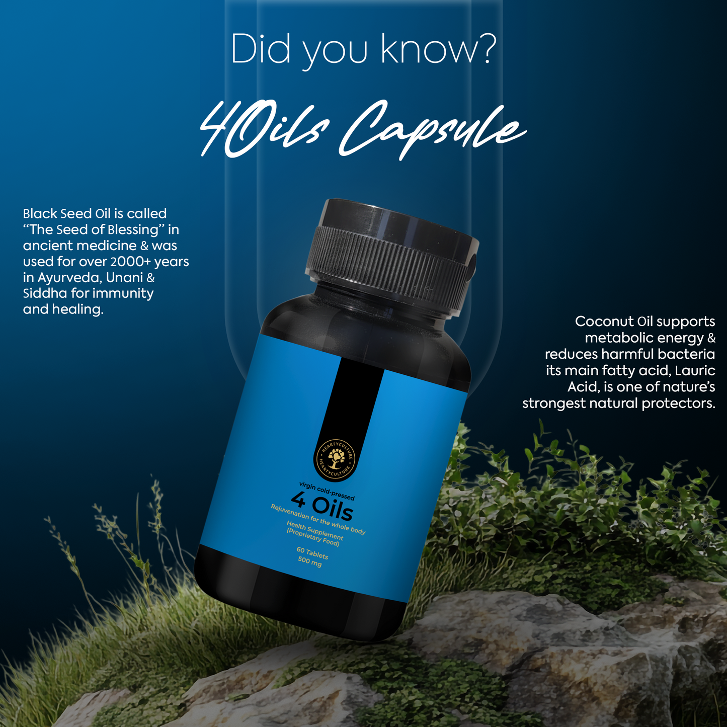 4 Oils Capsule — An Ode to Timeless Nourishment · 60 Veg Softgels