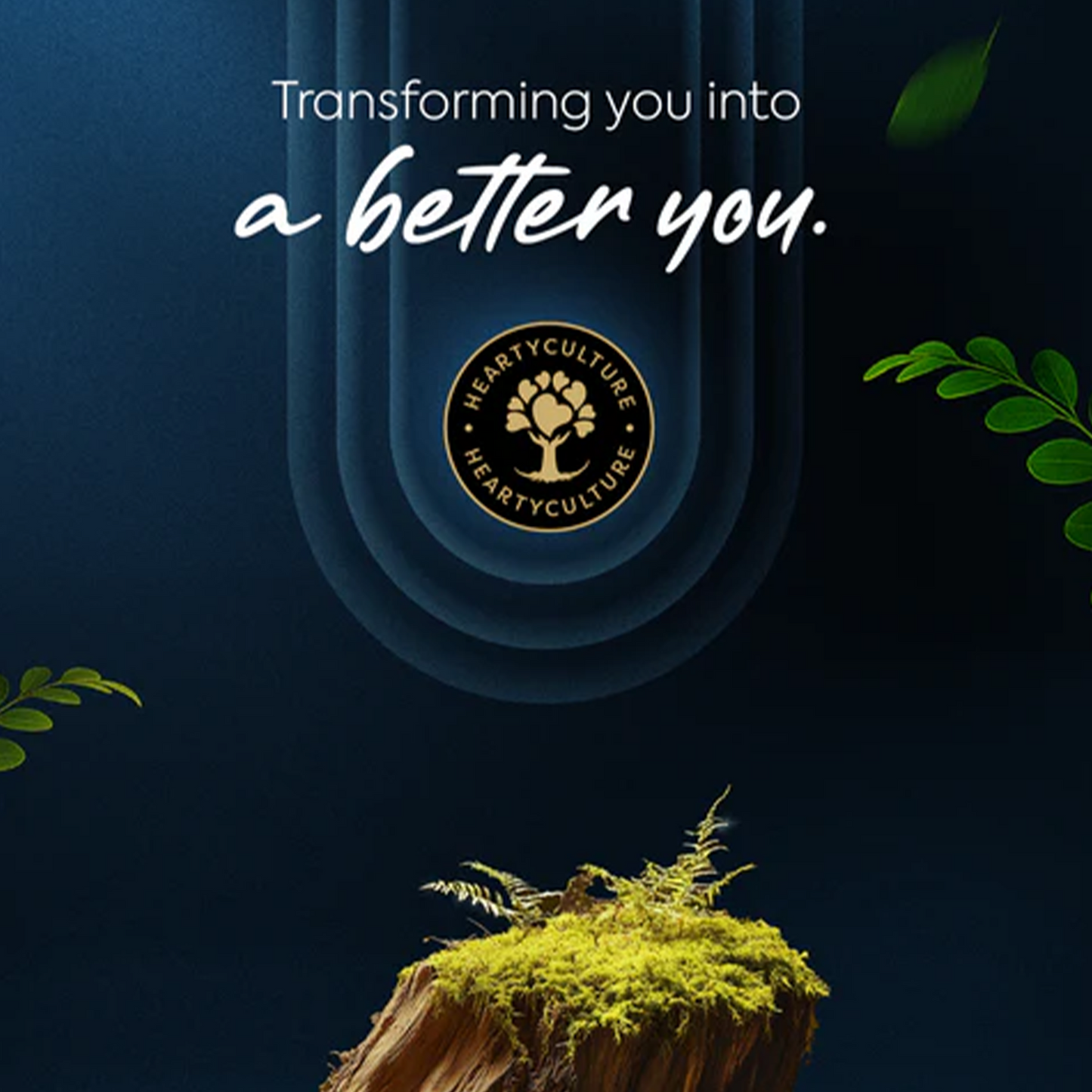 4 Oils Capsule — An Ode to Timeless Nourishment