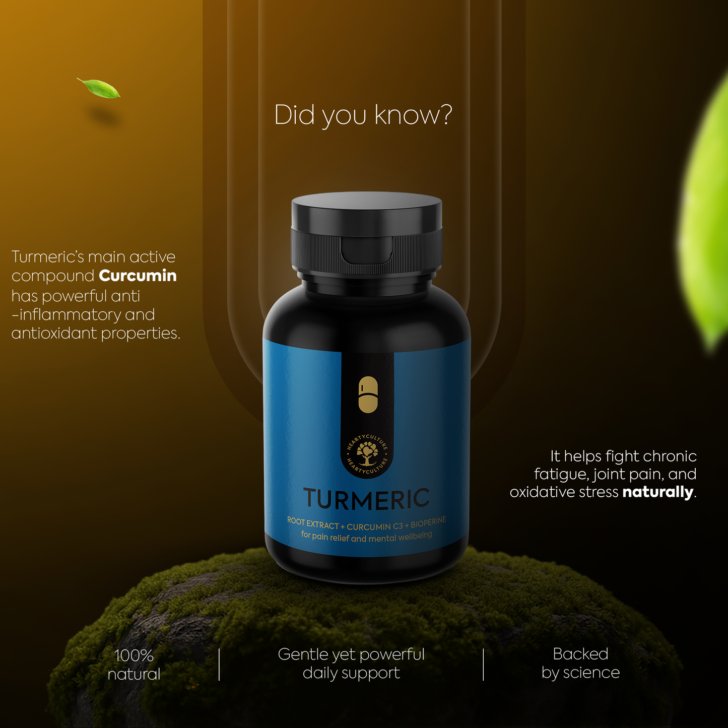 Turmeric C3 Capsules - Golden Ritual Reimagined.