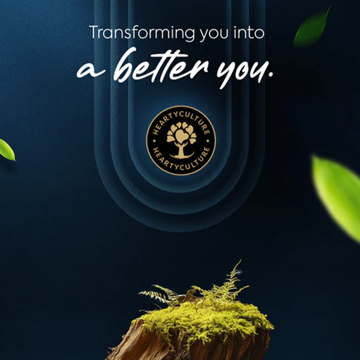 Turmeric C3 Capsules - Golden Ritual Reimagined.