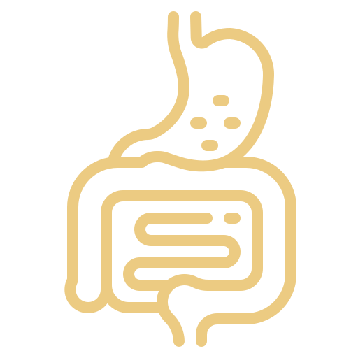 Gentle on the Gut — Even After a Full Meal