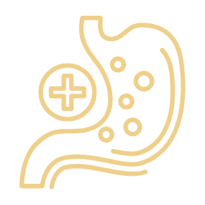 Digestive Catalyst